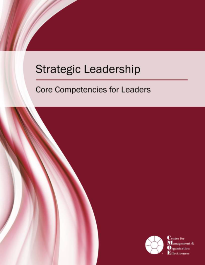 data visualization of strategic leadership core competencies and summary reportcompetency report